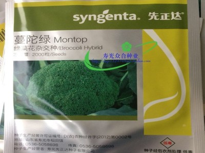 蔬菜种子 先正达 蔓陀绿 西兰花种子 耐抽薹 中早熟品种 10g图5