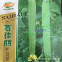 泰国 赛佳丽丝瓜种子 长肉丝瓜 早熟丰产 四季阳台蔬菜