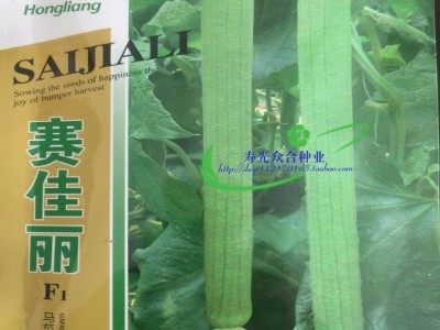 泰国 赛佳丽丝瓜种子 长肉丝瓜 早熟丰产 四季阳台蔬菜图5