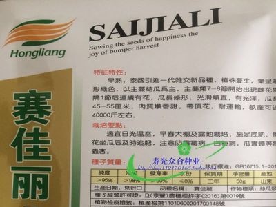 泰国 赛佳丽丝瓜种子 长肉丝瓜 早熟丰产 四季阳台蔬菜图4