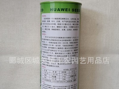 甜糯2号黄糯玉米种子 大穗型糯玉米种子 薄皮图4