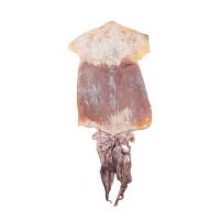 万珍海鲜干货水产手撕鱿鱼干特产海味烧烤煲汤味道鲜美佳肴送礼
