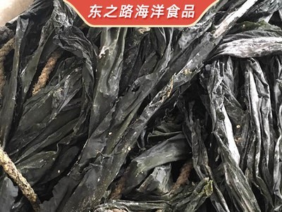 新货90公分干海带 海产品干货 长边去梢干海带片 无沙免洗干海带图3