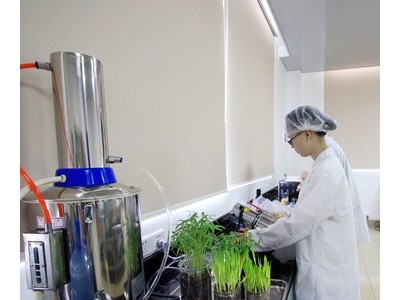 厂家OEM贴牌荞麦胚芽青稞粉营养代餐五谷杂粮粉 代餐粉oem贴牌图3