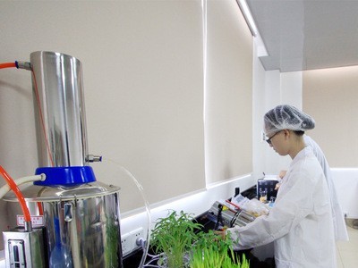 厂家定制 红豆薏米粉 薏仁枸杞代餐粉 五谷杂粮粉oem贴牌代加工图2