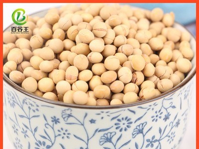 厂家直销 低温烘焙五谷杂粮 熟黄豆批发 现磨豆浆原料 烘焙杂粮图4