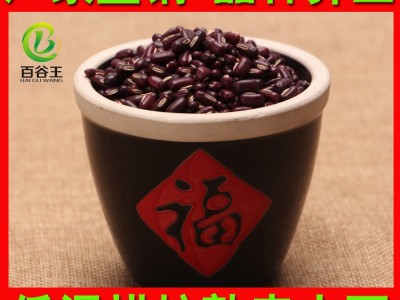 厂家直销 低温烘焙五谷杂粮 熟赤小豆批发 现磨豆浆原料 烘焙杂粮图5