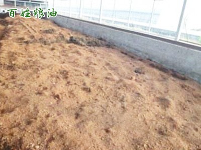 厂家供应 青糠饲料 牲畜养殖猪饲料 麦麸批发营养丰富图2