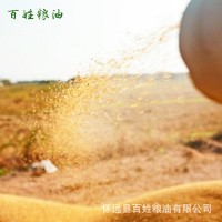 厂家供应 青糠饲料 牲畜养殖猪饲料 麦麸批发营养丰富