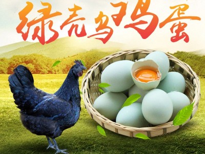湘中文凤散养绿壳乌鸡蛋农家纯粮新鲜乌骨鸡蛋草鸡蛋初生柴土鸡蛋图4