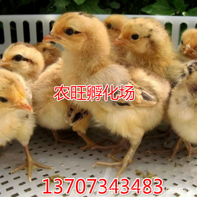 未命名_meitu_2_meitu_1