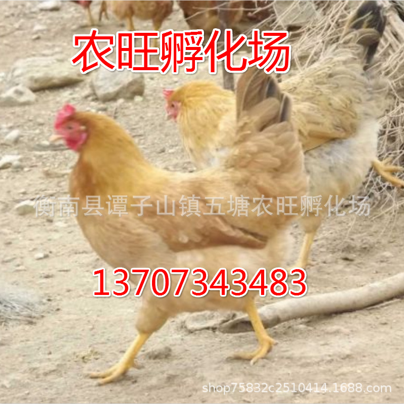 微信图片_20200708175918_meitu_13.j