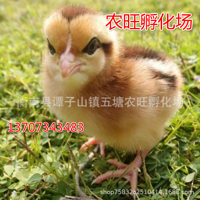 微信图片_20200708175918_meitu_18.j