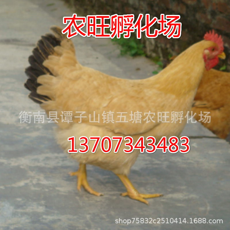 微信图片_20200708175918_meitu_16.j