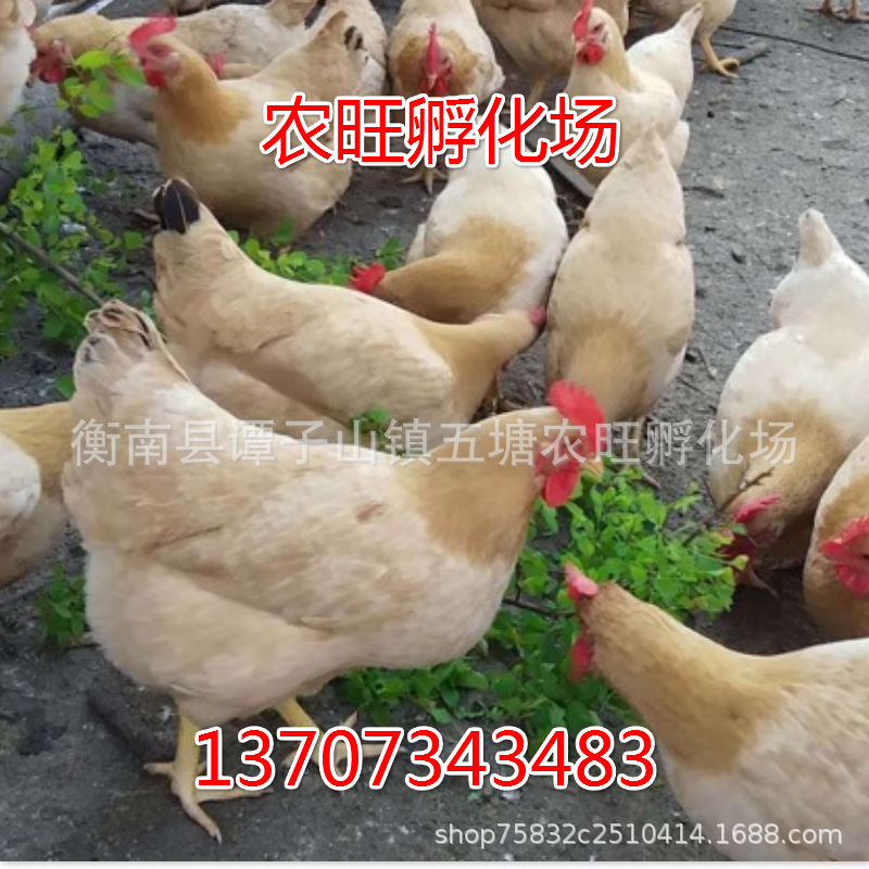 微信图片_20200708175918_meitu_11.j