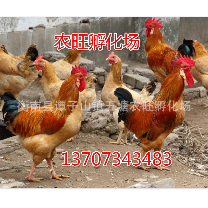 微信图片_20200708175918_meitu_15.j