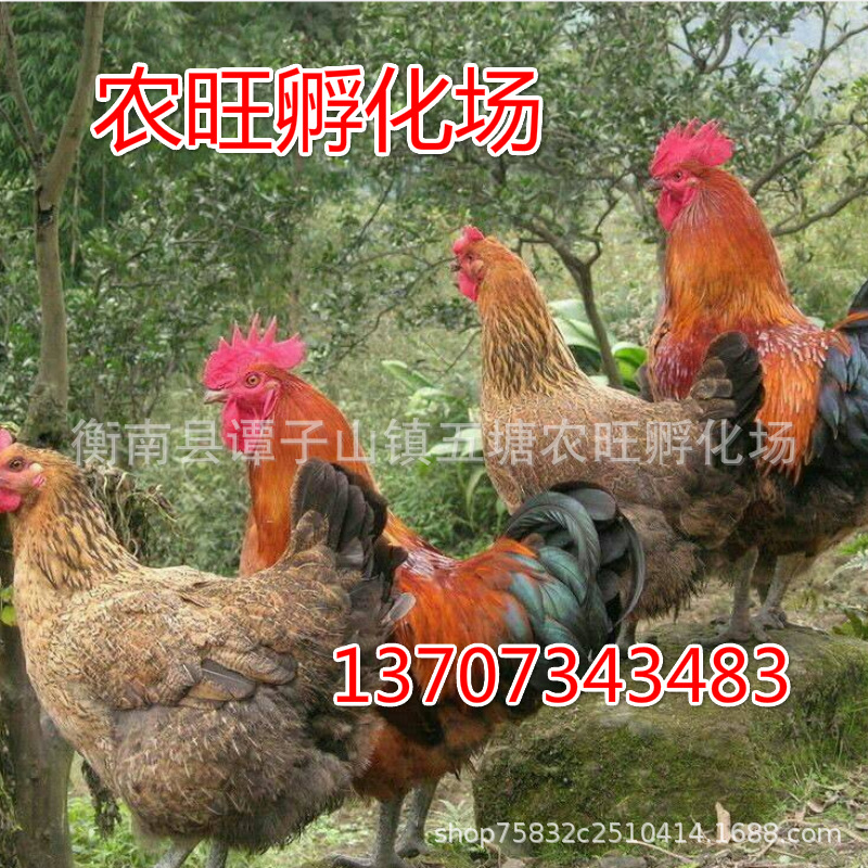 未命名_meitu_32.jpg