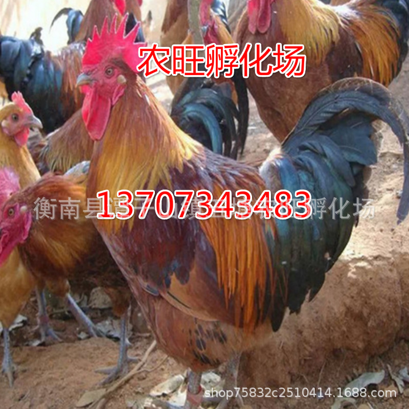 未命名_meitu_62.jpg