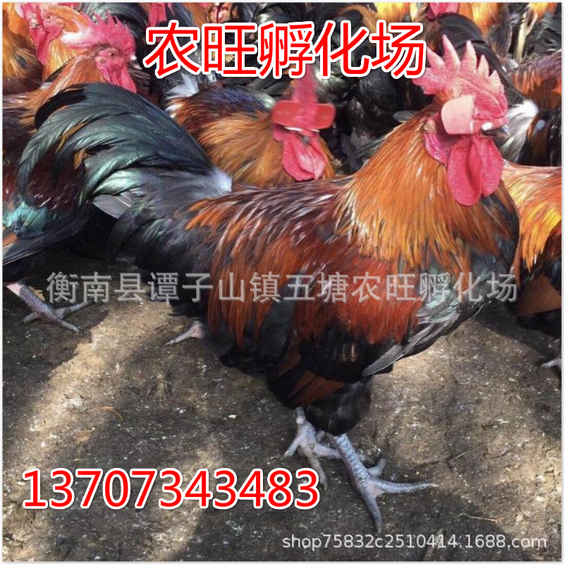 未命名_meitu_58.jpg