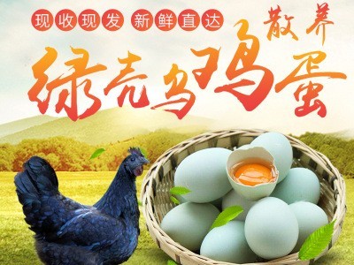 湘中文凤散养绿壳乌鸡蛋农家纯粮新鲜乌骨鸡蛋草鸡蛋初生柴土鸡蛋图5