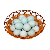 绿壳种蛋鸡蛋受精蛋可孵化蛋散养绿壳乌鸡蛋五黑鸡一绿批发纯种