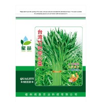 现货台湾竹叶空心菜种子 蕹菜种子细长叶空心菜批发蔬菜种子500G