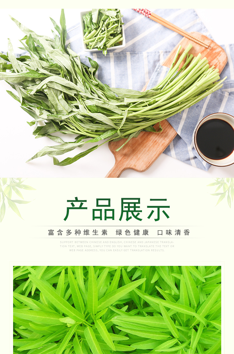 【福州闽蔬农业科技有限公司】内页32-恢复的-恢复的_05
