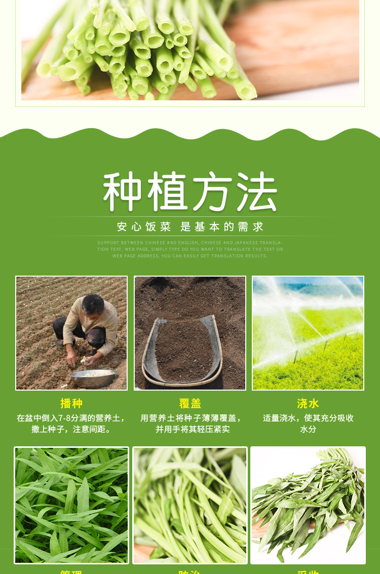 【福州闽蔬农业科技有限公司】内页32-恢复的-恢复的_07