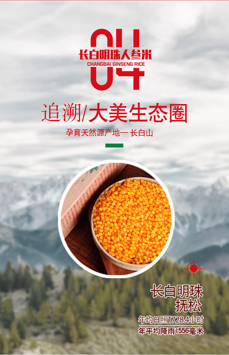 长白明珠人参2_08