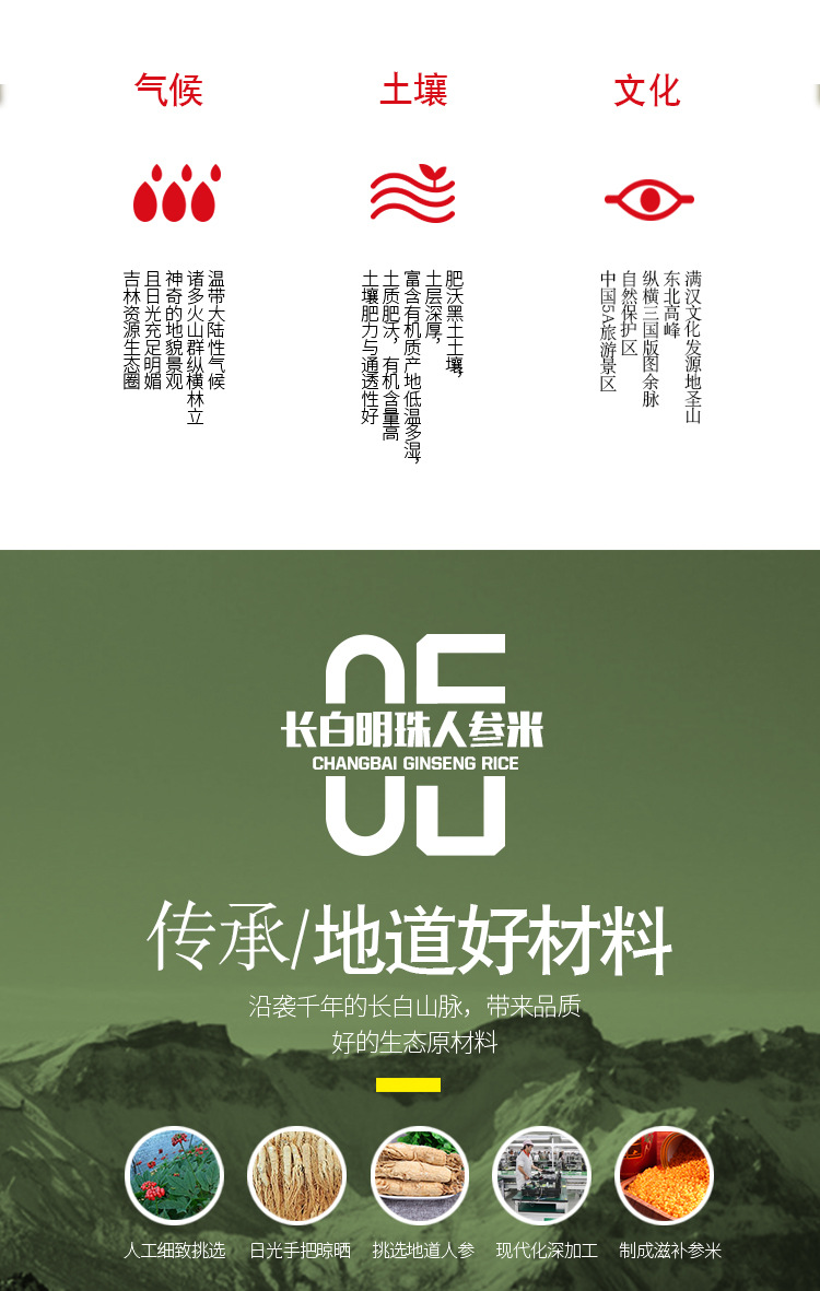 长白明珠人参2_09