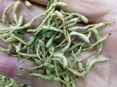 金银花河南金银花产地货源批发零售量大价优山银花花茶当季采摘图5