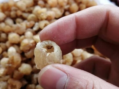 桂圆干肉 无核桂圆干散装批发 灯笼龙眼干龙眼肉散装量大价优图5