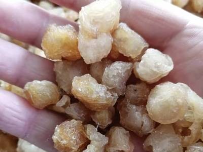 桂圆干肉 无核桂圆干散装批发 灯笼龙眼干龙眼肉散装量大价优图3