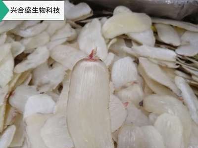 天麻刨片产地批发一手货源云南特产品质保障规格齐全批发零售图2