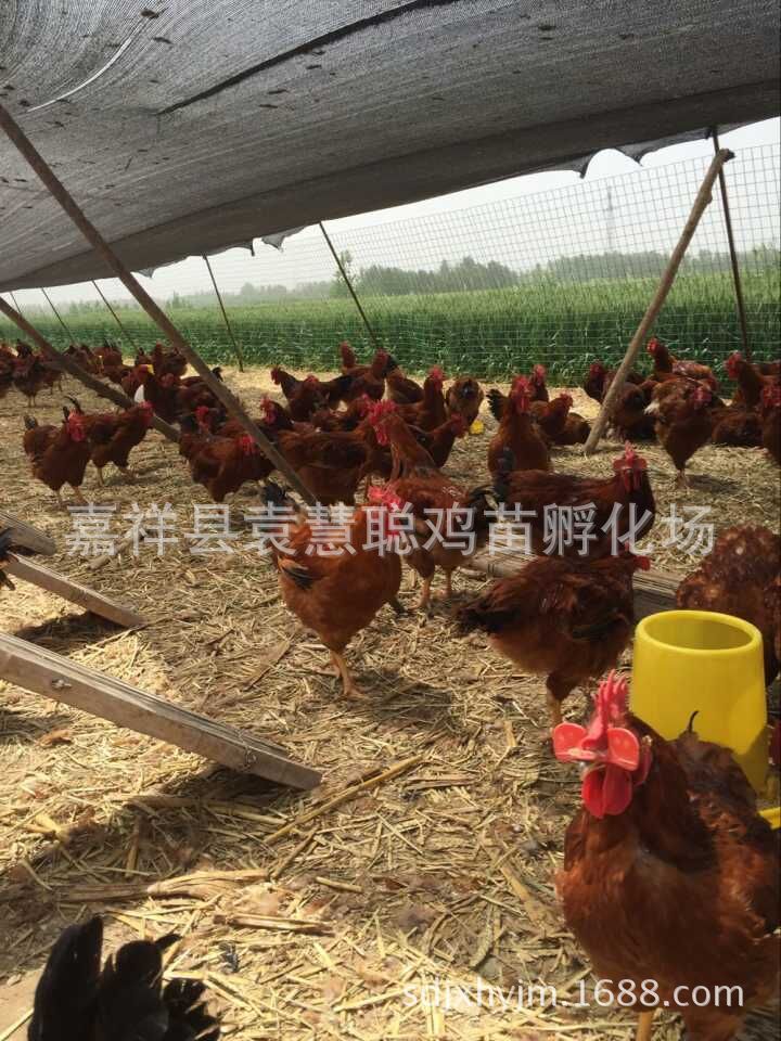 QQ图片20160508201513