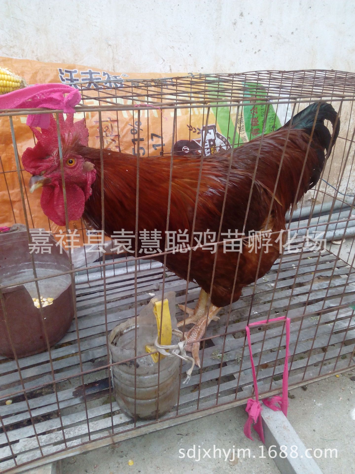 QQ图片20151004195440
