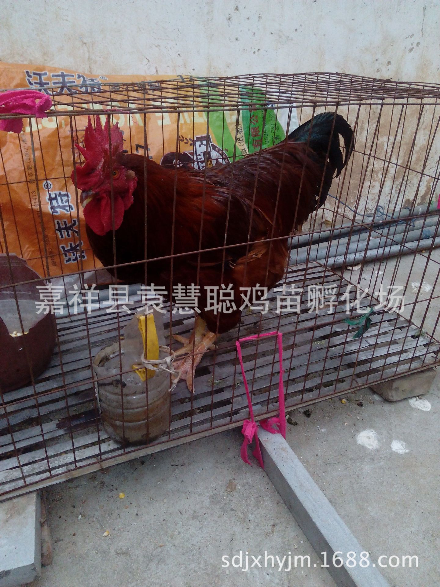QQ图片20151004195445