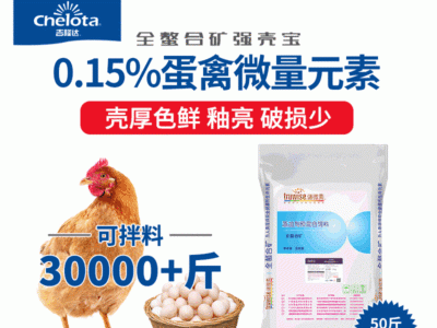 厂家直供下蛋鸡预混料有机微量元素产蛋鸡禽饲料添加剂强壳宝25kg图5