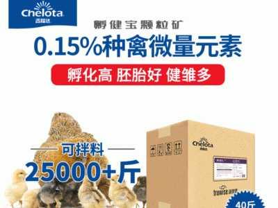 厂家直供下蛋鸡预混料有机螯合微量元素产蛋鸡禽饲料添加剂孵健宝图5