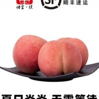 甜蜜水蜜桃 脆甜桃子新鲜毛桃基地果园直发 一件代发 果汁丰富