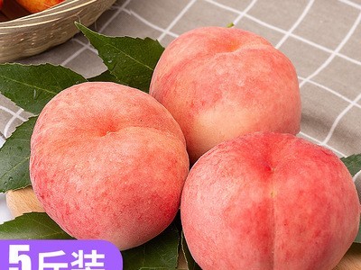 甜蜜水蜜桃 脆甜桃子新鲜毛桃基地果园直发 一件代发 果汁丰富图2