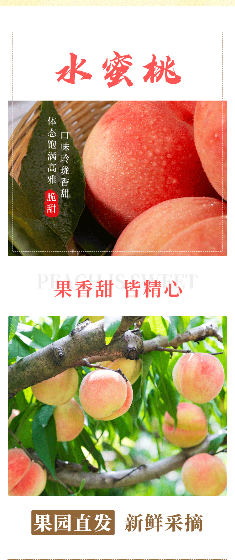 微信图片_20200814182106_02