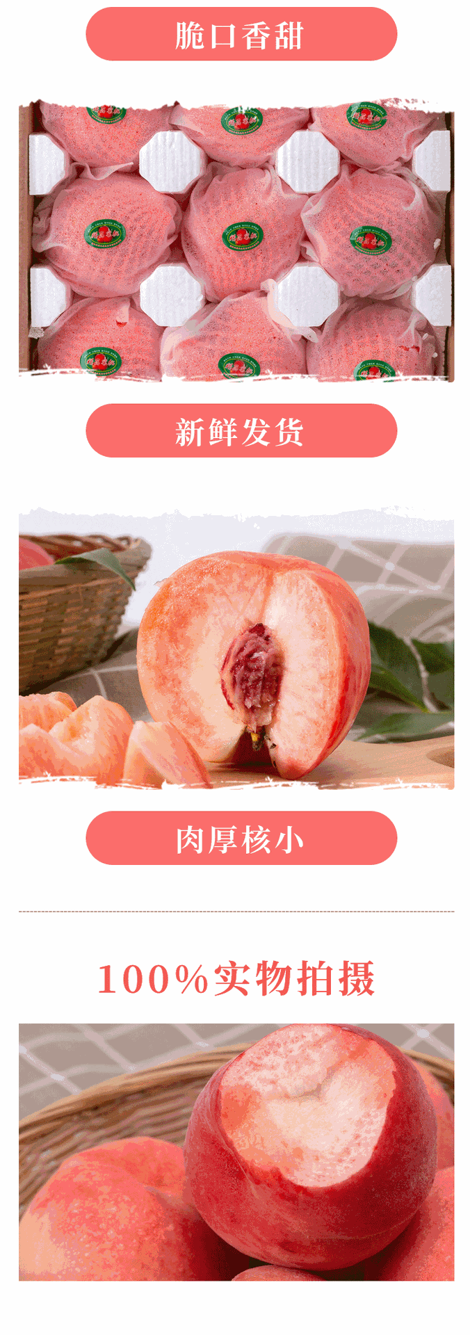 微信图片_20200814182106_04
