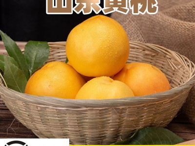 悟空家黄油桃净重5斤水蜜桃自家果园现摘现发桃子山东蒙阴特产图4