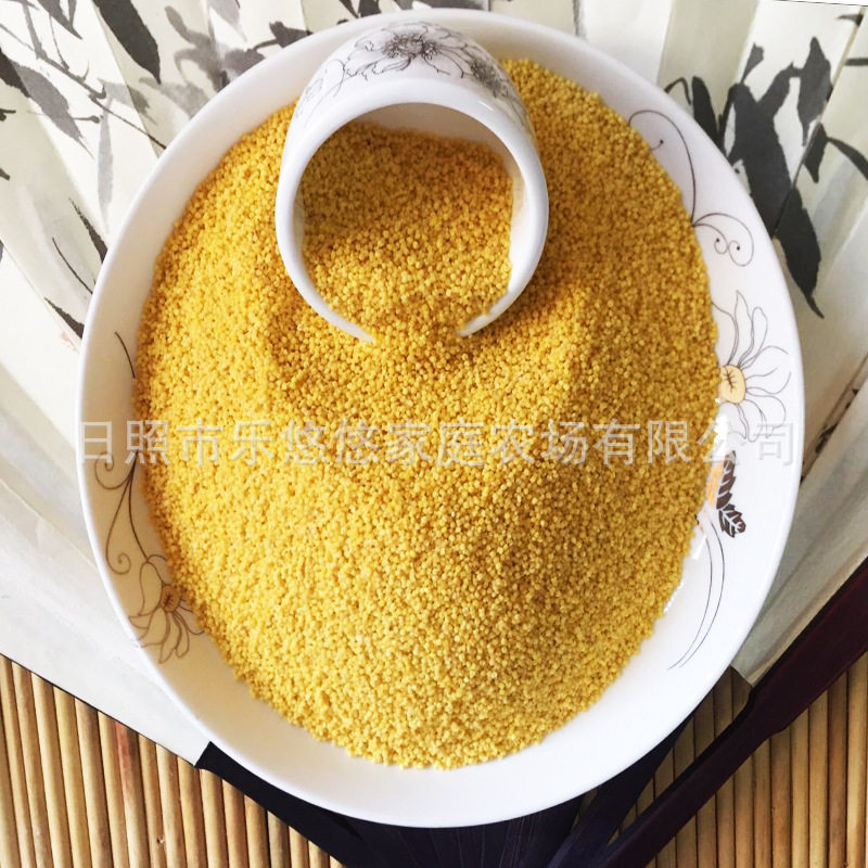 新小米2