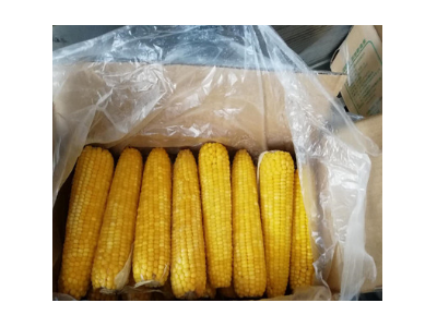 加工批发花糯玉米棒 绿色速冻食品花糯玉米棒---东北特产玉米棒图3
