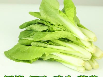奶白菜新鲜当季农家现摘奶油小白菜酒店家庭用速生绿叶菜四季青菜图3
