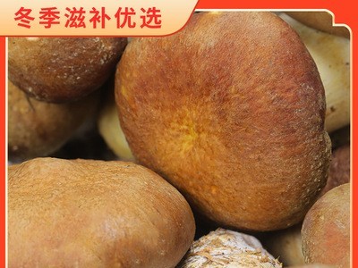 批发新鲜赤松茸500g农家特产一件代发种植食用大球盖菇松茸菌图5