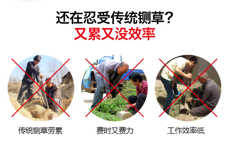 详情2.jpg