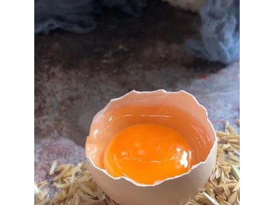 【晋龙鲜鸡蛋】可生食无菌鸡蛋礼盒装图3